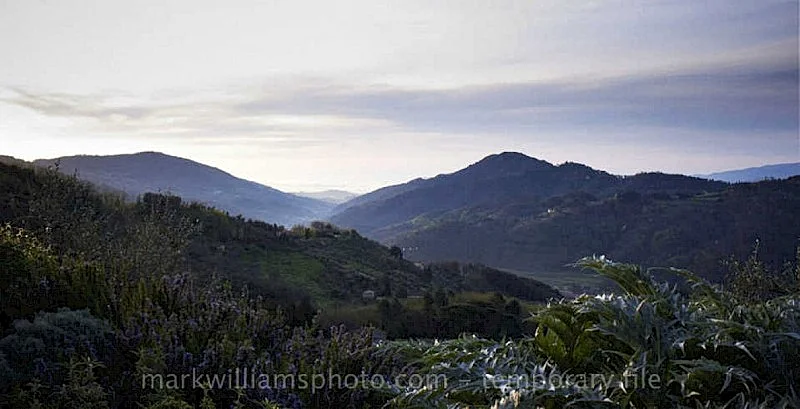 Photo 45