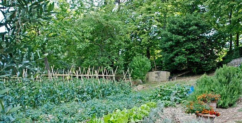 Photo 30