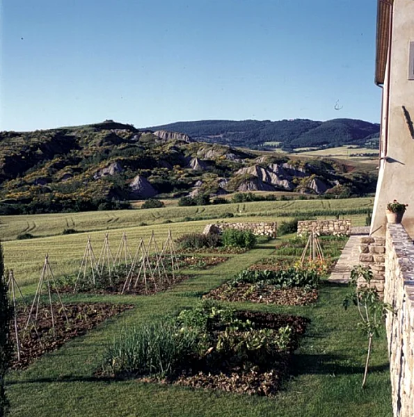 Photo 48