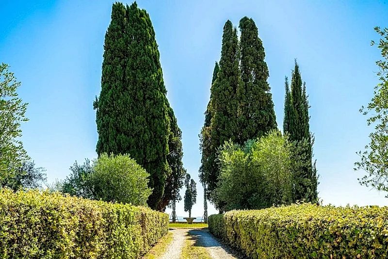 Photo 62