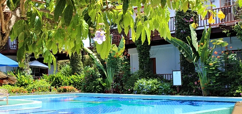 Photo 24